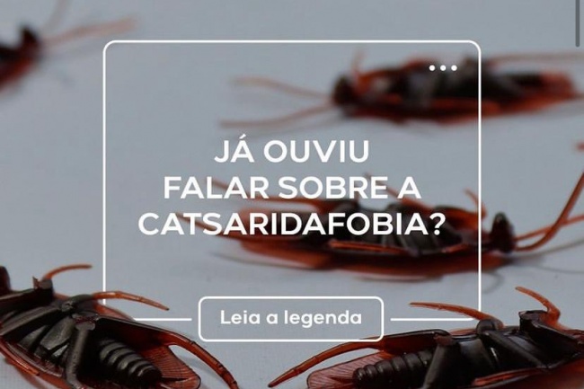 Já ouviu falar de Catsaridafobia?